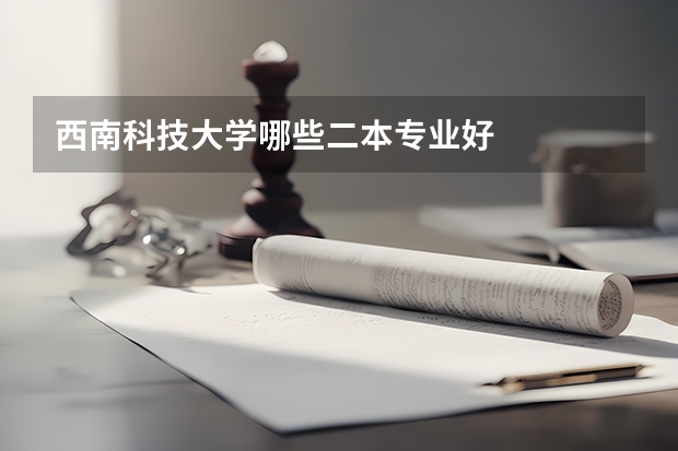 西南科技大学哪些二本专业好