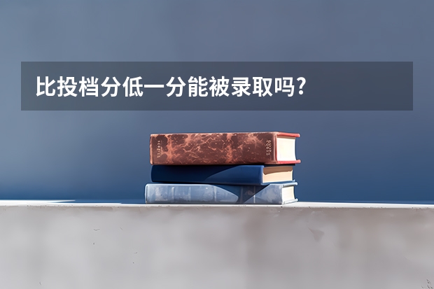 比投档分低一分能被录取吗?