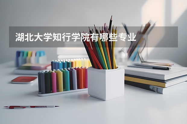 湖北大学知行学院有哪些专业