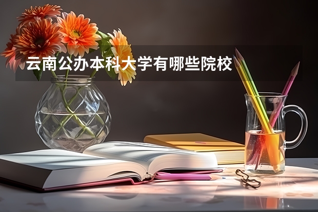 云南公办本科大学有哪些院校