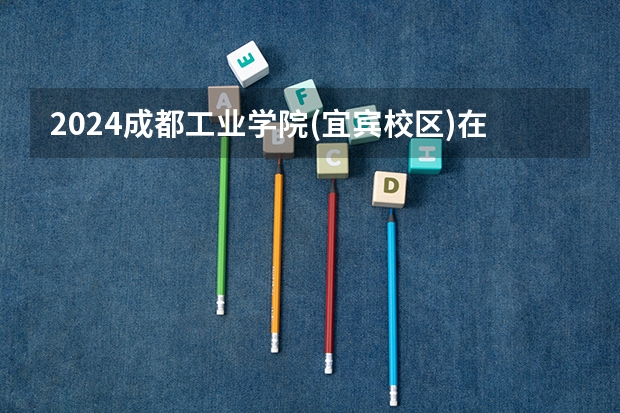 2024成都工业学院(宜宾校区)在四川招生计划详解