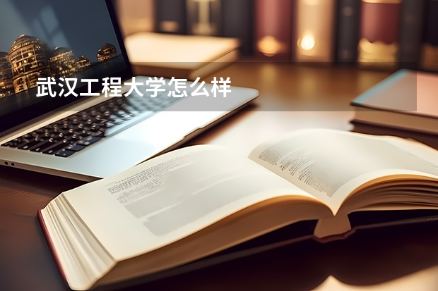 武汉工程大学怎么样