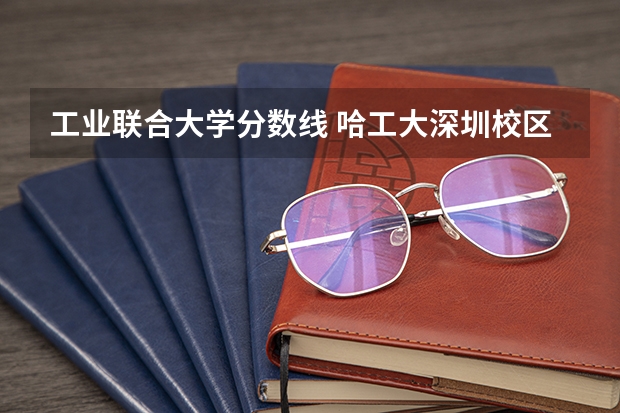 工业联合大学分数线 哈工大深圳校区分数线
