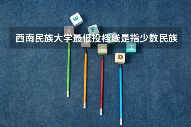 西南民族大学最低投档线是指少数民族考生吗