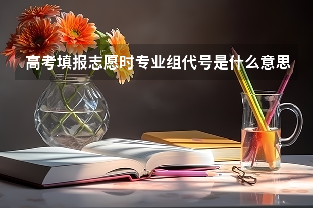 高考填报志愿时专业组代号是什么意思？