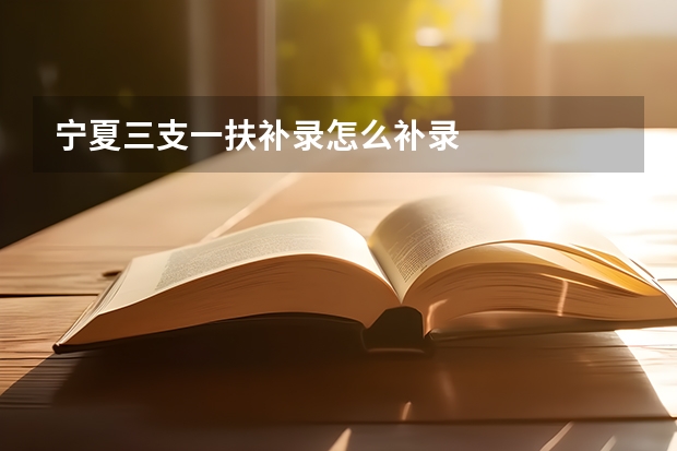 宁夏三支一扶补录怎么补录