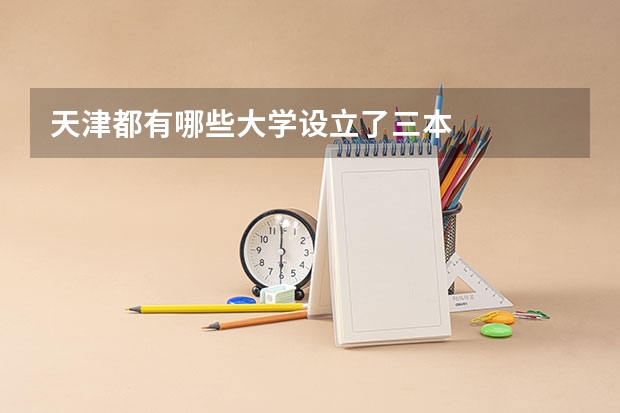 天津都有哪些大学设立了三本
