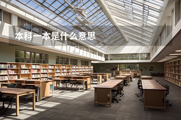 本科一本是什么意思