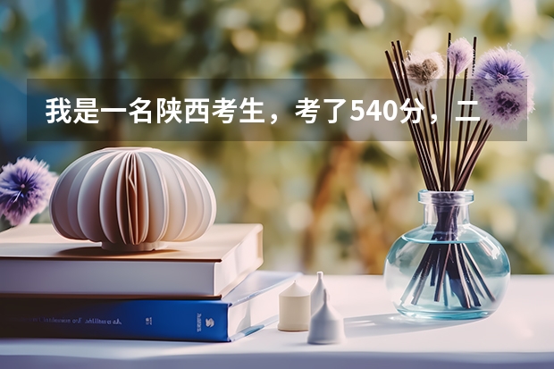 我是一名陕西考生，考了540分，二本分数线495，我可以上西安石油大学二本吗？