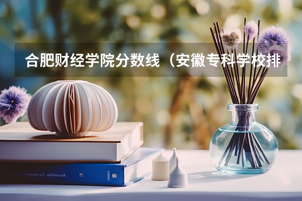 合肥财经学院分数线（安徽专科学校排行榜以及分数线）