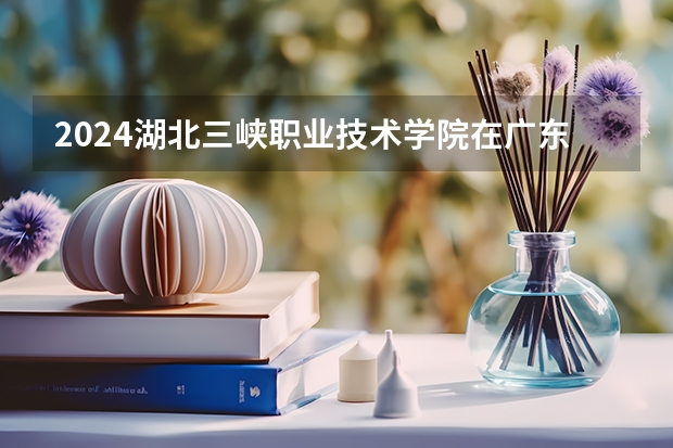 2024湖北三峡职业技术学院在广东招生计划详解