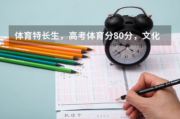 体育特长生,高考体育分80分,文化课300分,能上什么样的大学?