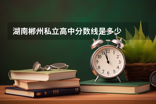 湖南郴州私立高中分数线是多少