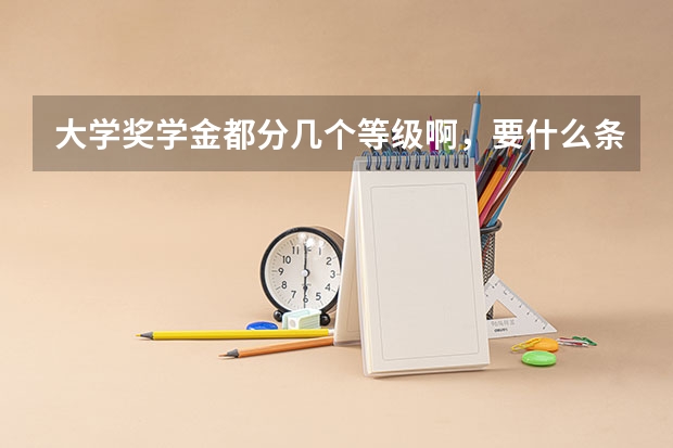 大学奖学金都分几个等级啊,要什么条件
