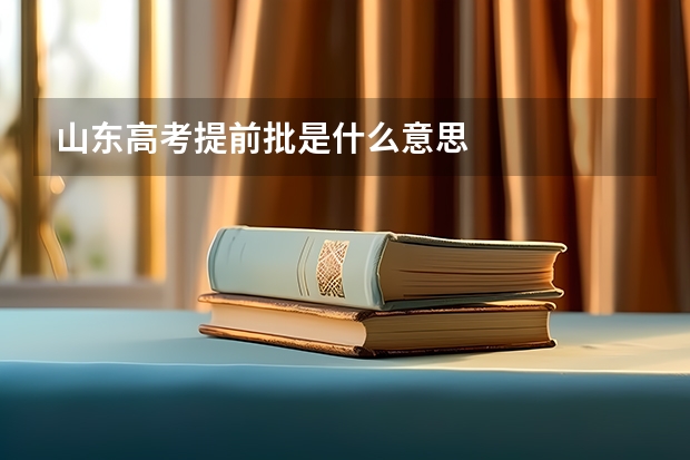 山东高考提前批是什么意思