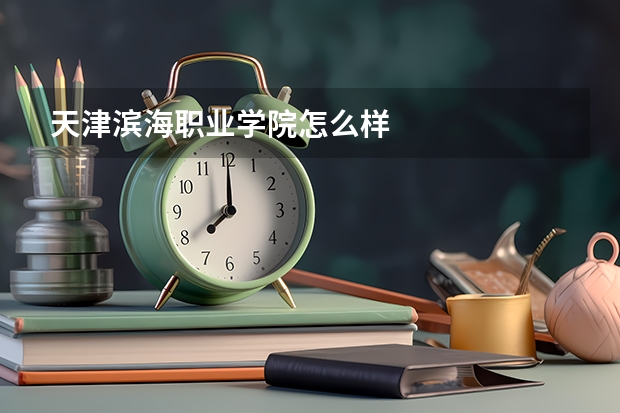 天津滨海职业学院怎么样