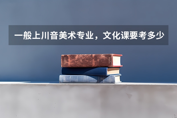 一般上川音美术专业,文化课要考多少分
