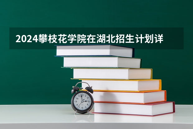 2024攀枝花学院在湖北招生计划详解