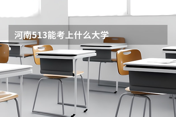 河南513能考上什么大学