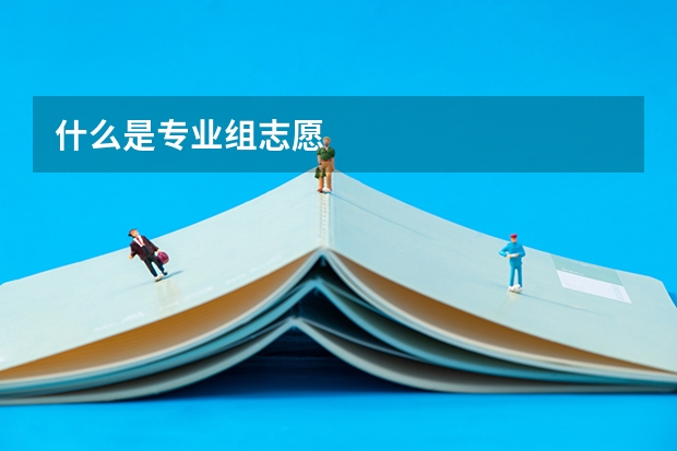什么是专业组志愿