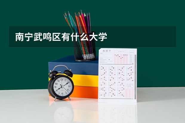 南宁武鸣区有什么大学
