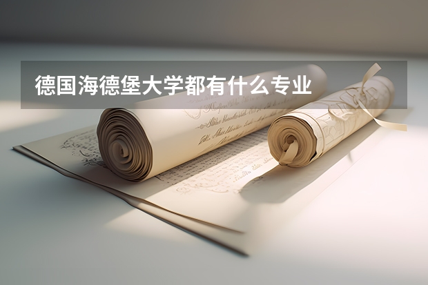 德国海德堡大学都有什么专业