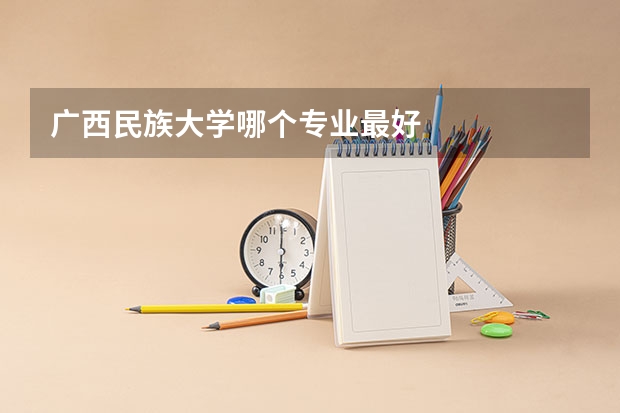 广西民族大学哪个专业最好