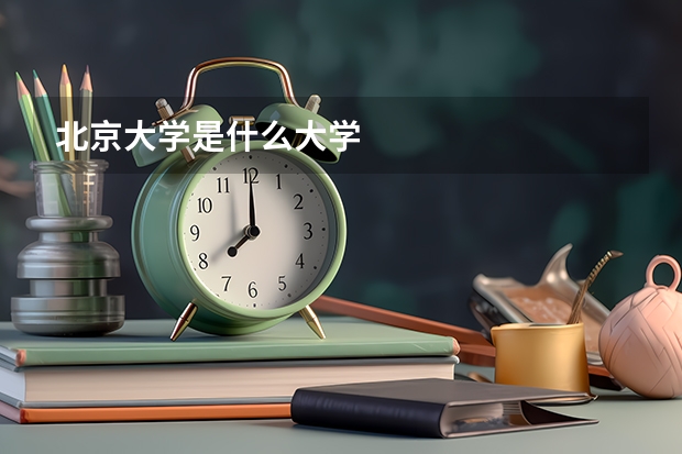 北京大学是什么大学