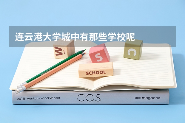 连云港大学城中有那些学校呢