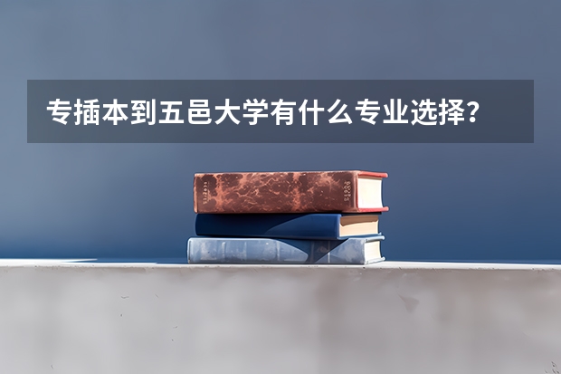 专插本到五邑大学有什么专业选择？