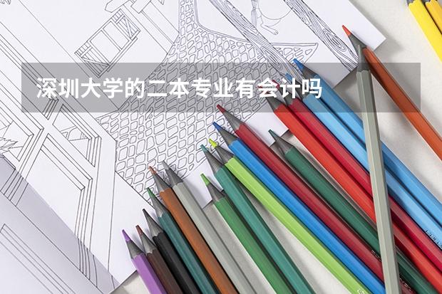 深圳大学的二本专业有会计吗