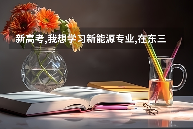 新高考,我想学习新能源专业,在东三省怎么样选大学