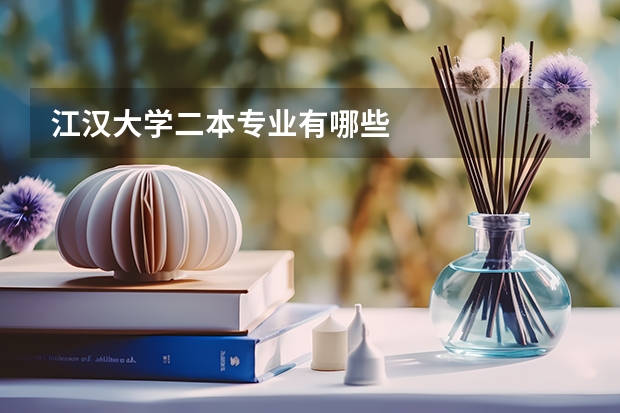 江汉大学二本专业有哪些