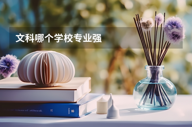 文科哪个学校专业强