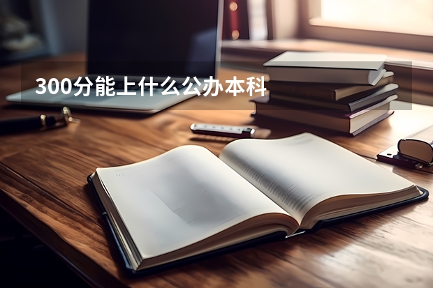 300分能上什么公办本科