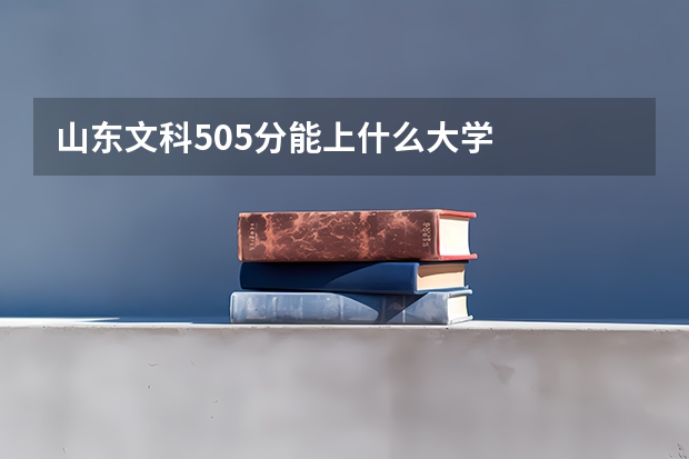 山东文科505分能上什么大学