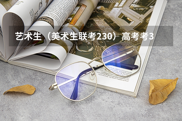 艺术生（美术生联考230）高考考380分能考上什么学校?