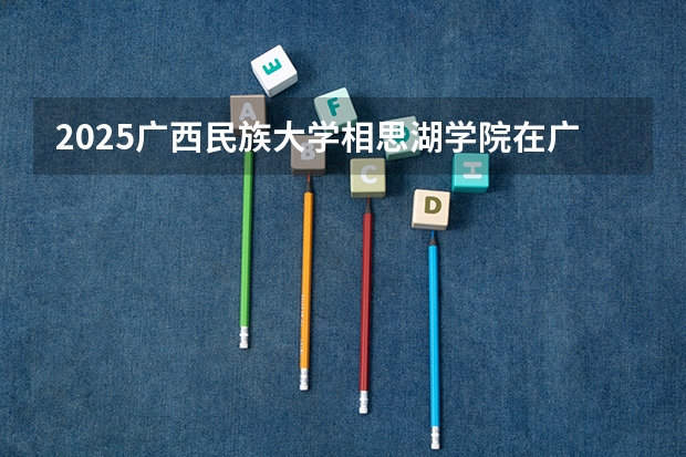 2025广西民族大学相思湖学院在广东招生计划人数一览表