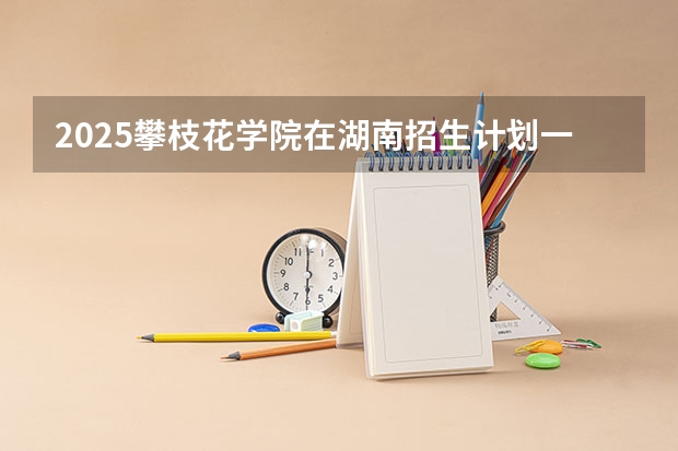 2025攀枝花学院在湖南招生计划一览表