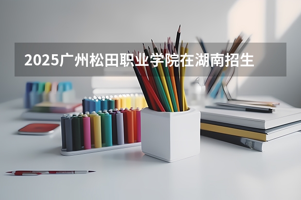 2025广州松田职业学院在湖南招生计划一览表