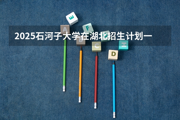 2025石河子大学在湖北招生计划一览表