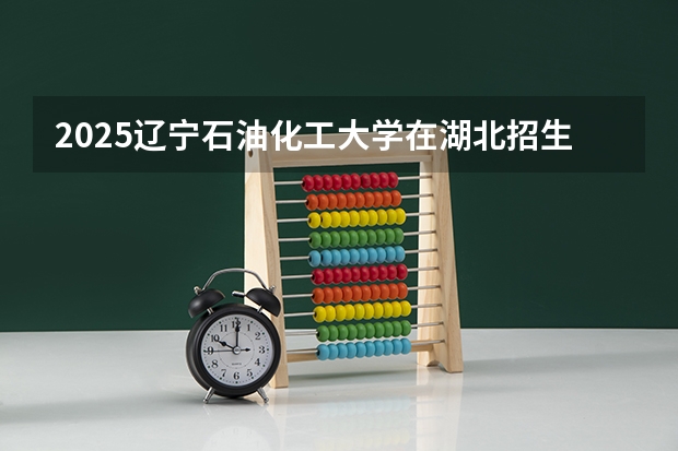 2025辽宁石油化工大学在湖北招生计划一览表
