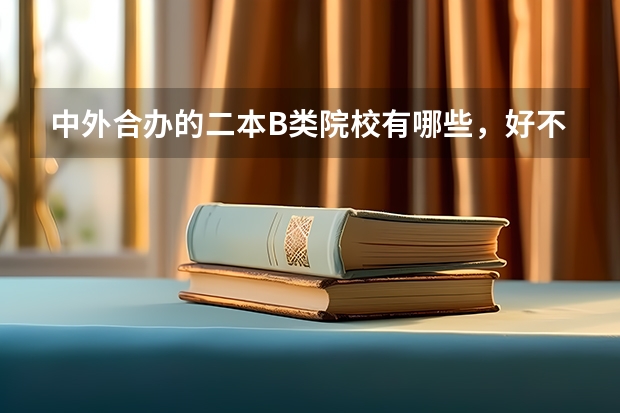 中外合办的二本B类院校有哪些，好不好？
