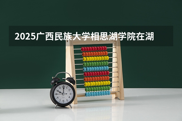 2025广西民族大学相思湖学院在湖北招生计划一览表