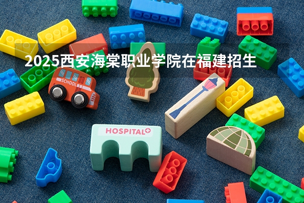 2025西安海棠职业学院在福建招生计划一览表