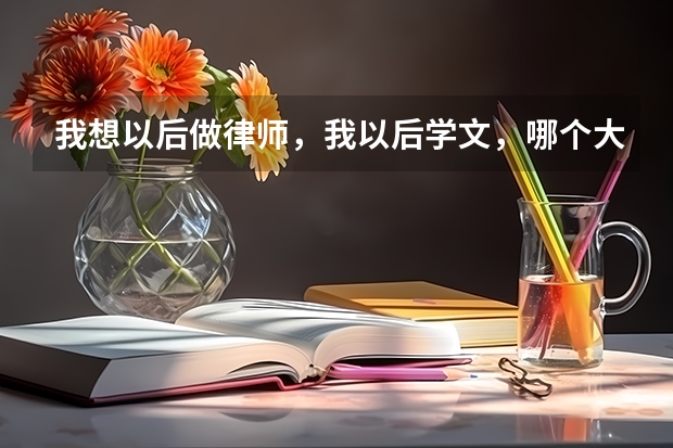 我想以后做律师，我以后学文，哪个大学好一点？