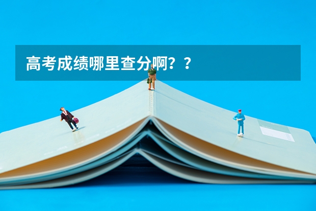 高考成绩哪里查分啊??