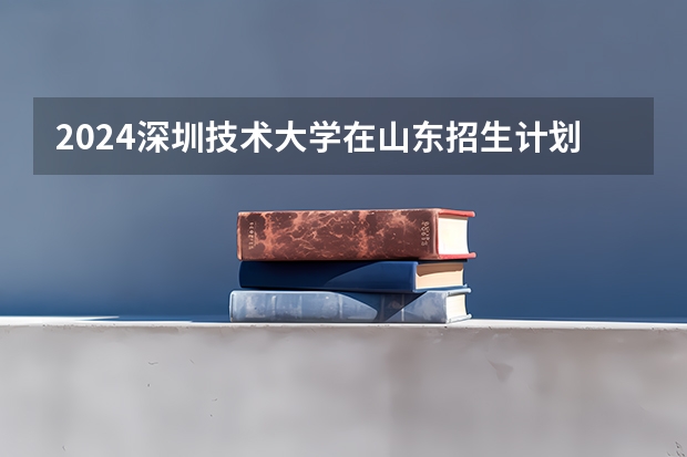 2024深圳技术大学在山东招生计划详解