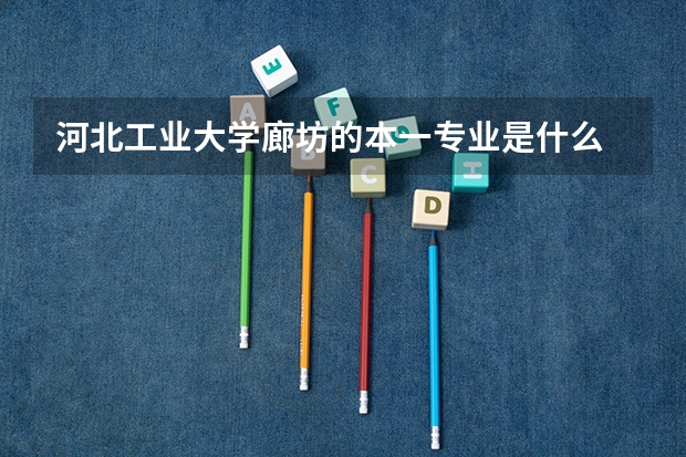 河北工业大学廊坊的本一专业是什么